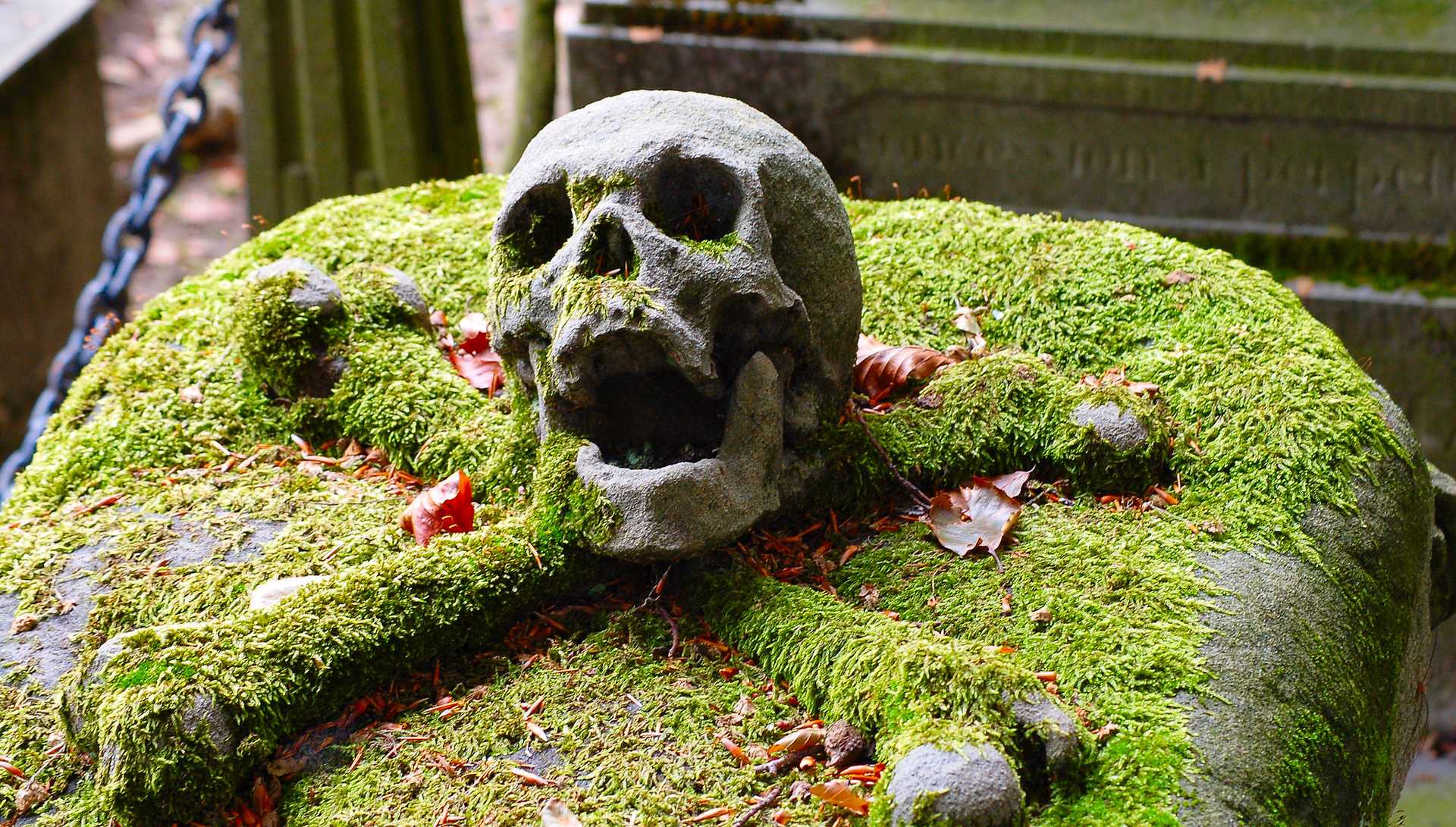 Memento mori: a tomb with vivid skull and bones